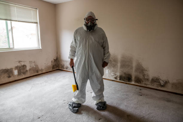 Livingston, TX Mold Remediation Company